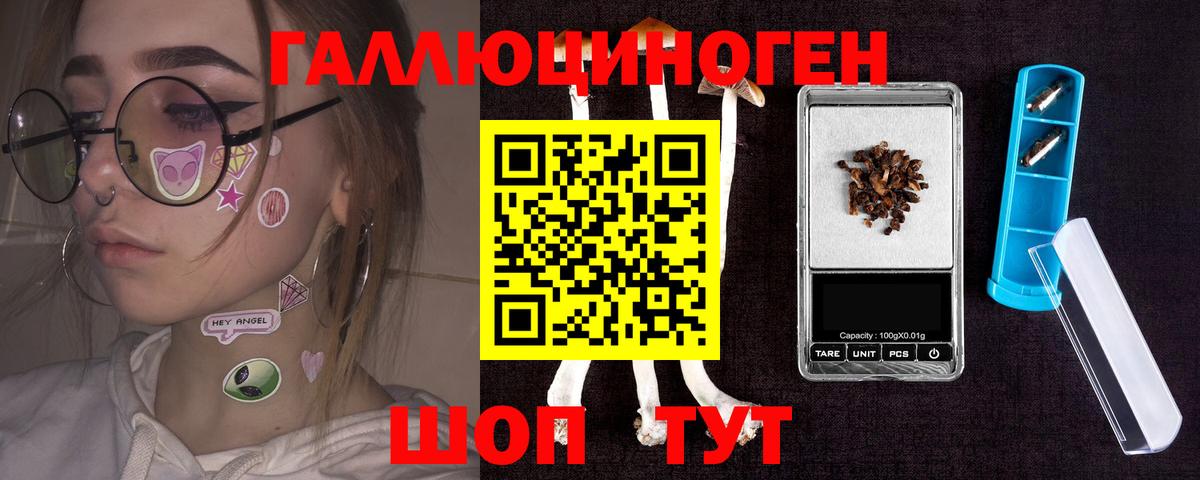 Галлюциногенные грибы Psilocybe Кисловодск