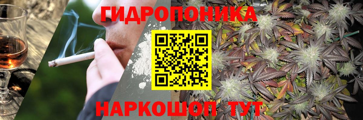 Бошки марихуана сатива Кисловодск